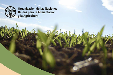 AMICAF-SSC Analisis y mapeo de impactos del cambio climatico