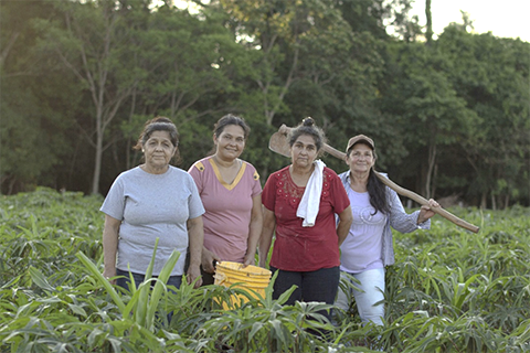 Asistencia técnica en Caazapá