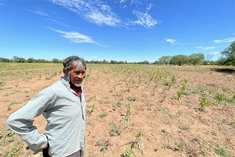 Implementacion del sistema asis