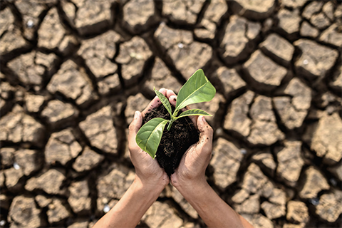 Proyecto 1 Plan social de adaptacion al cambio