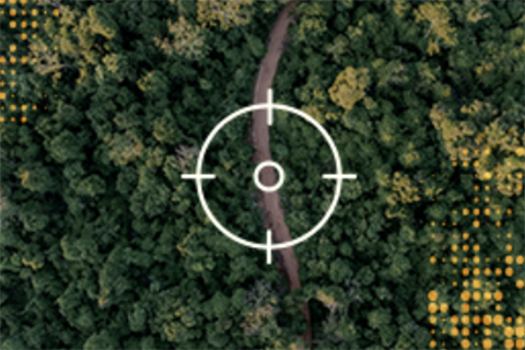 Portal de Manejo Integral del Fuego 